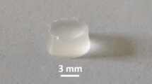 Hydrogel Zellen