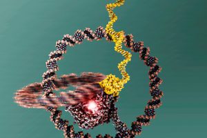 Winzige Nanomaschine aus DNA