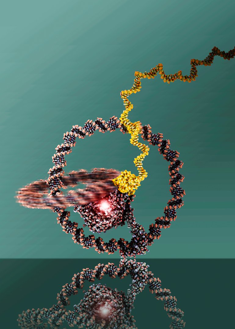 Winzige Nanomaschine aus DNA
