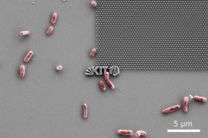 Mit Nanotechnik gegen Bakterien