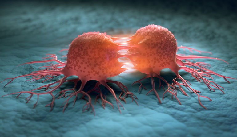 Digitales Modell zeigt, wie sich eine Krebszelle entwickelt