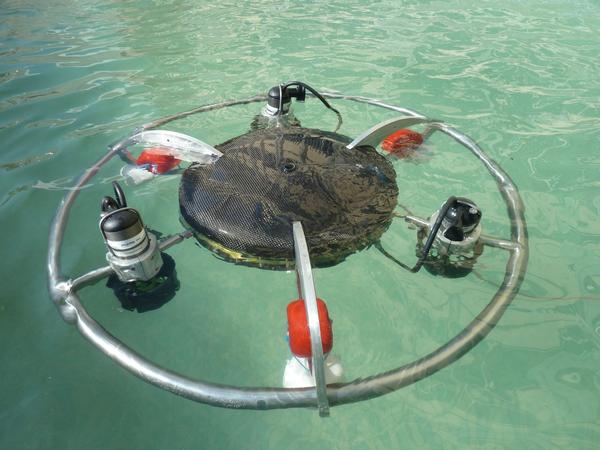 Wettkampf der Unterwasserroboter