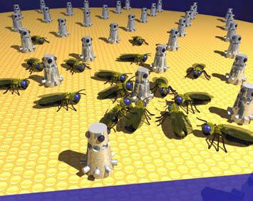 Die digitalen Bienenflüsterer