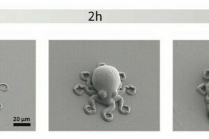Intelligente Polymere für den 4D-Druck