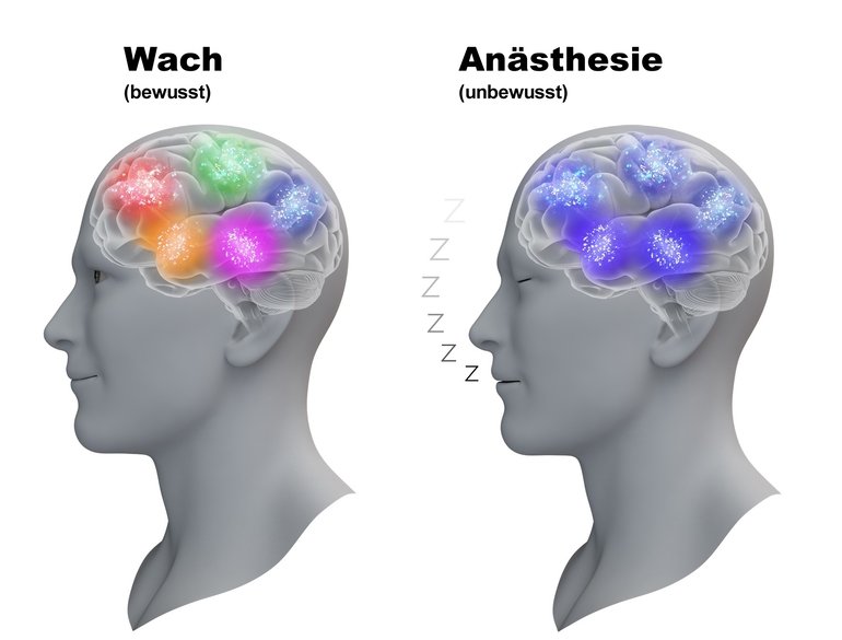 Unter Narkose bleibt das Gehirn aktiv