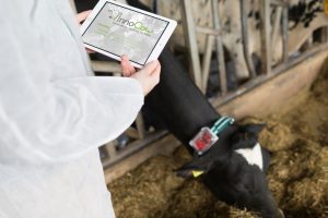 Gesundheits-Tracking für Kühe