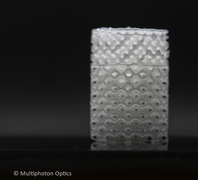 3D-Druck-Scaffolds: Schnell zum präzisen Knorpel-Knochenersatz