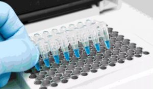 PCR Test Röhrchen werden im Thermocycler platziert