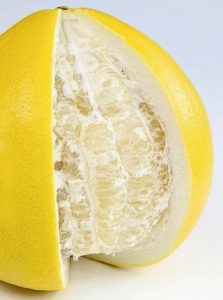 Pomelofrucht als Vorbild für Orthesenwerkstoffe