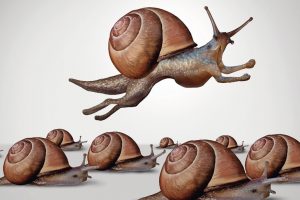Concept_of_change_and_changing_to_better_compete_as_a_group_of_slow_racing_snails_with_one_individual_fast_leader_snail_with_running_limbs_as_a_business_idea_of_innovation_in_a_3D_illustration_style.