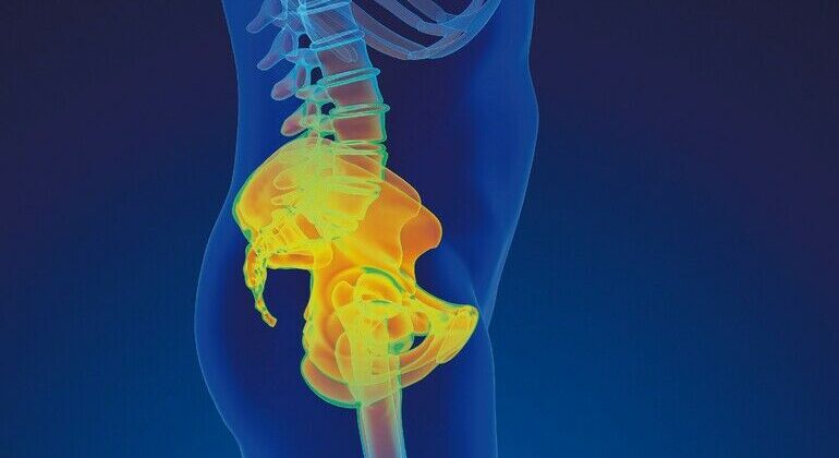 Die Grafik zeigt die Knochen im Bereich des Hüftgelenkes, das häufig durch Implantate ersetzt wird