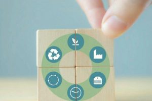 Circular_economy_concept_for_sustainable_development._Male_puts_wooden_cube_with_the_cycle_icon_of_natural_resource,_production,_product,_usage,_reuse_and_recycling_standing_with_grey_background._
