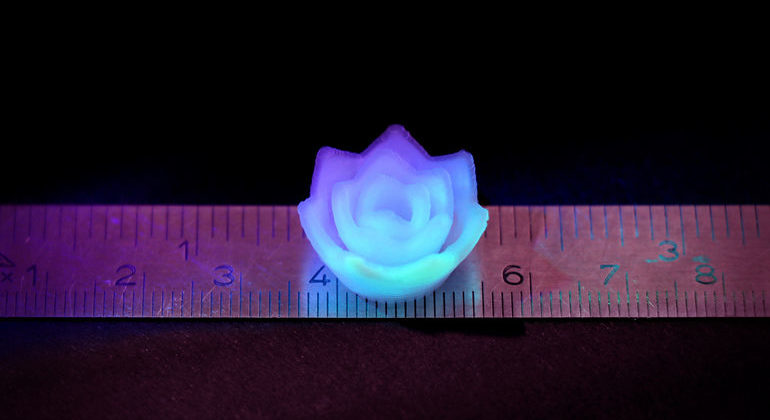 aerogel_lototsbluete.jpg